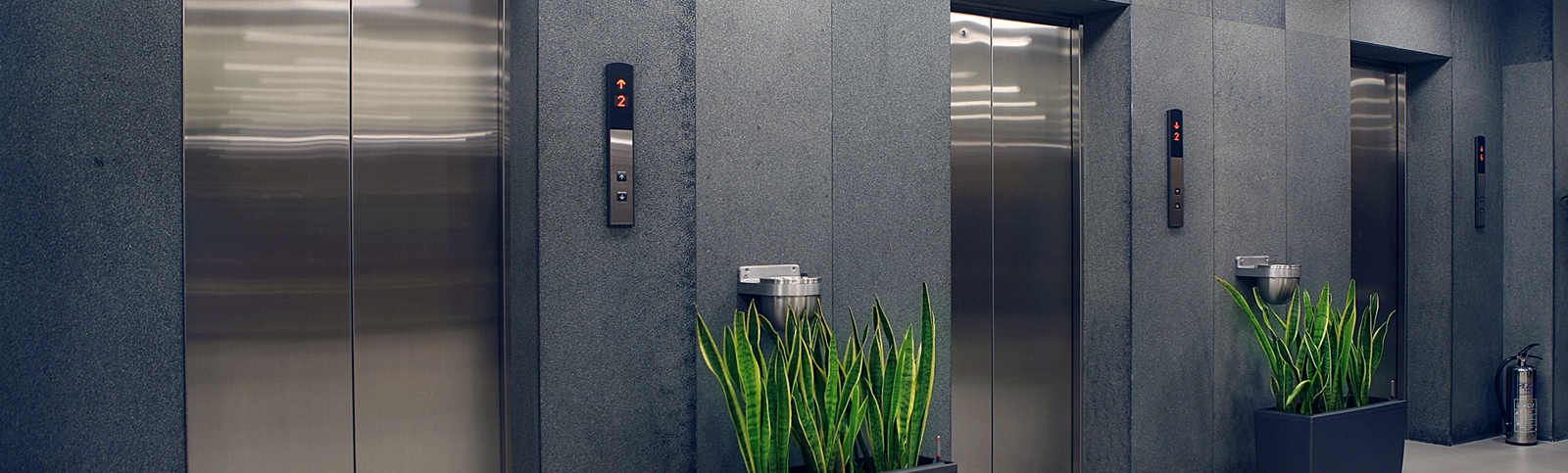 Hidrolik Asansörler